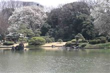 お彼岸ですね。。。