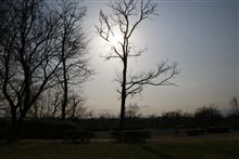 公園で