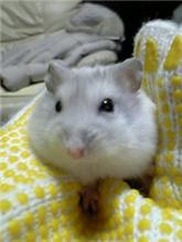 皐でぇ～すはじめまして