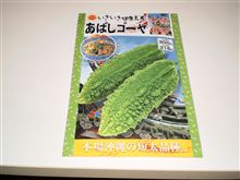 あばしゴーヤの種　購入しました！