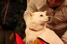 ちょっとした嵐のなか…那須どうぶつ王国へ
