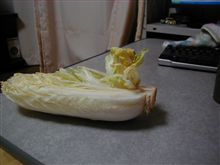 根性白菜 根性白菜
