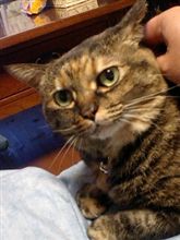 そろそろ限界・・・ そろそろ限界・・・