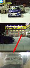 こりん作戦始動（笑）