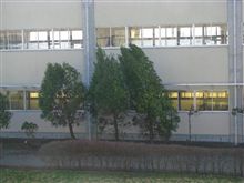 一日中こんな感じ 