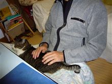 ご心配おかけしました。