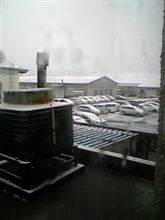 あ～、雪だ