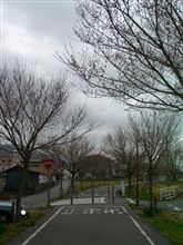 ＪＥＤＩで、岩瀬土浦自転車道（つくばりんりんロード）を走ってみました。