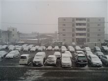 ここは何処? ここは何処?