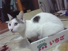 久々に給油した気がする・・・・・