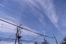 青空ガレージの中身 青空ガレージの中身