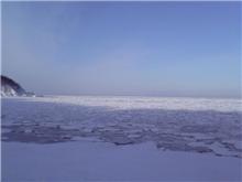 今日の流氷