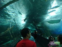 旅行記録 その⑩