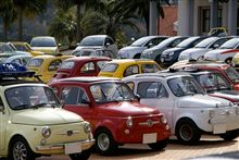 500 POLI