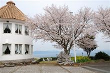 花見オフ！メタボオフ？