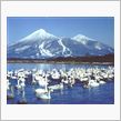 4ヶ月の山篭り