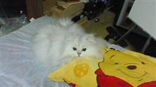 お気に入りの場所だったのに・・・