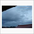 ４月２日　雨上がりの朝、おは ...