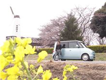 なかなか咲かない・・・