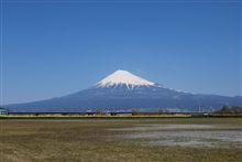 強風のおかげで・・・