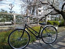 新車を増車しました
