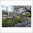 新車を増車しました