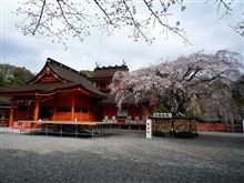 箱根に行ってきました♪