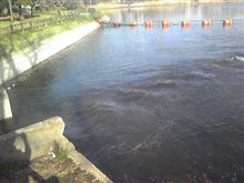 Ｓ沼に水入りましたぁ！
