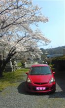 今日は花見へ！！