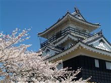 浜松で見る満開の桜 浜松で見る満開の桜