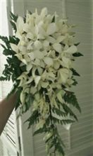 4月3日 続くの続き