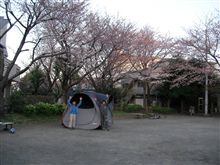 さっそく張ってきた♪