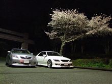 nekoとお散歩♪　夜桜撮影会