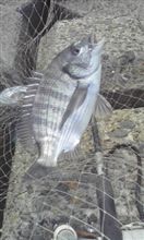 釣果はたいした事無いですが、