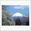 昨日の富士山！