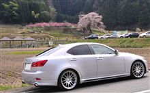 桜ドライブ（奈良）