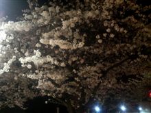 久々に夜なべ