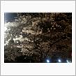 久々に夜なべ