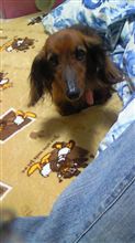 今日明日は休み☆ 