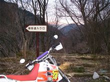 今週の朝練