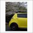 nanaすぽとお花見