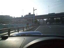咲いた～