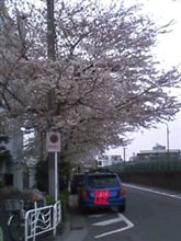 咲いた～Ｘ２