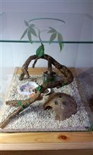ヤドカリハウス