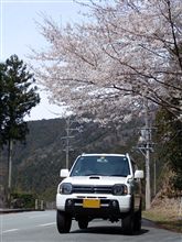 『サクラサク』
