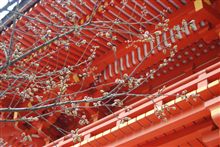 上賀茂神社
