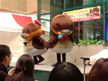 実物の「かいつぶり」