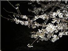 一気に来ましたね