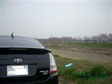 嵐山へ