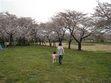 いきなりお花見！